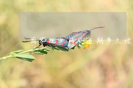 国家规定网贷逾期多久被代偿 国家规定网贷逾期多久被代偿