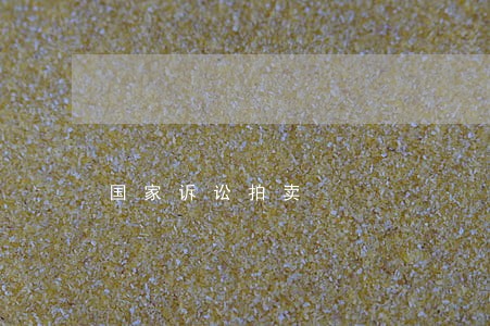 国家诉讼拍卖 国家诉讼拍卖