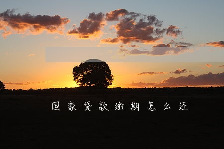 国家贷款逾期怎么还 国家贷款逾期怎么还