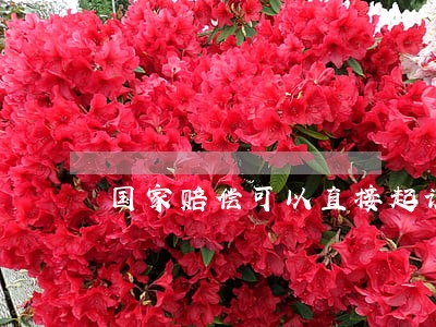 国家赔偿可以直接起诉法院吗 国家赔偿可以直接起诉法院吗