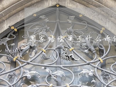 国家赔偿属于什么诉讼 国家赔偿属于什么诉讼