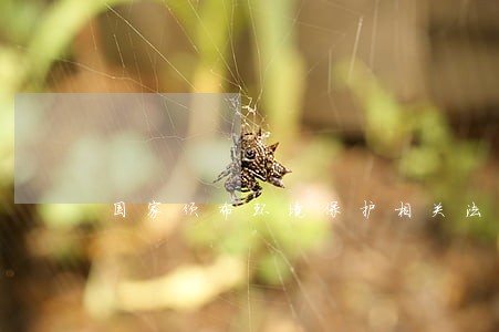 国家颁布环境保护相关法规 国家颁布环境保护相关法规