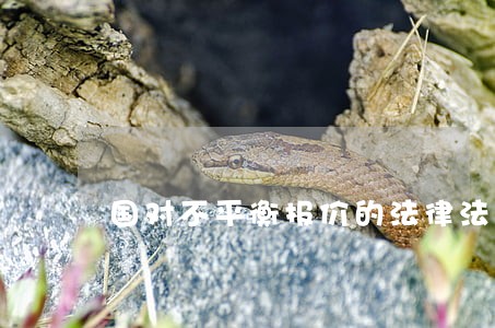 国对不平衡报价的法律法规 国对不平衡报价的法律法规