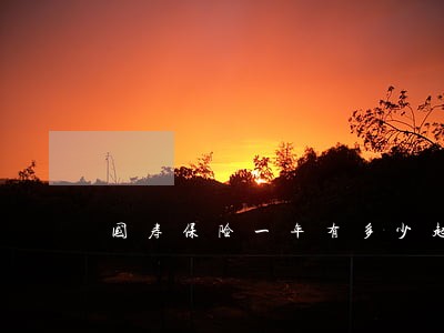 国寿保险一年有多少起诉讼 国寿保险一年有多少起诉讼