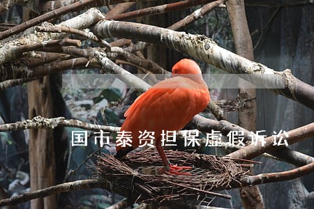 国市泰资担保虚假诉讼