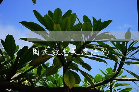 国庆放六天违法吗 国庆放六天违法吗