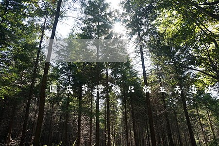 国庆节学校只放五天违法吗 国庆节学校只放五天违法吗