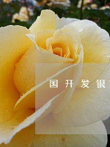 国开发银行贷款逾期了 国开发银行贷款逾期了