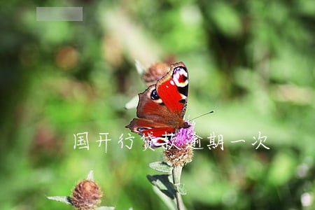 国开行贷款逾期一次 国开行贷款逾期一次