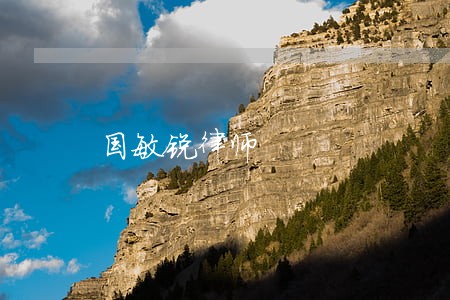 国敏锐律师 国敏锐律师