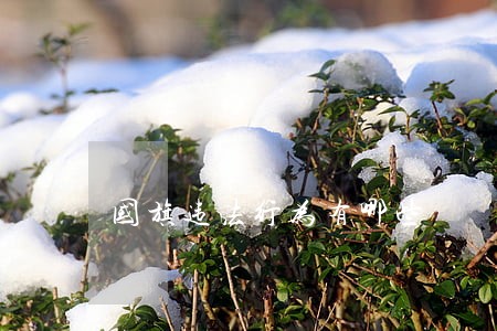 国旗违法行为有哪些 国旗违法行为有哪些