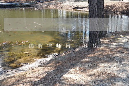 国晖律师合同纠纷