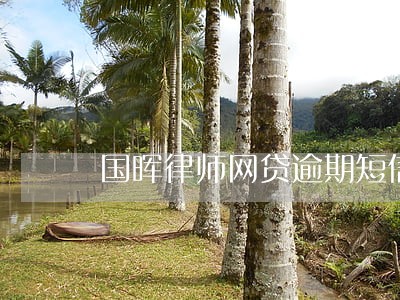 国晖律师网贷逾期短信 国晖律师网贷逾期短信