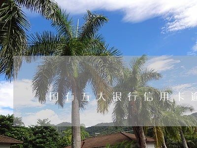 国有五大银行信用卡逾期不减免