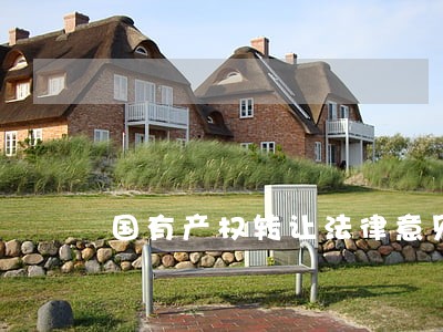 国有产权转让法律意见书模板 国有产权转让法律意见书模板