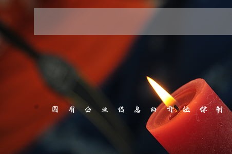 国有企业信息公开法律制度研究 国有企业信息公开法律制度研究