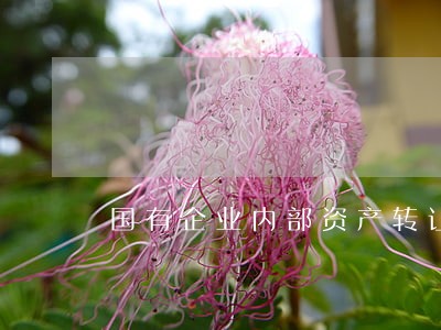 国有企业内部资产转让法律意见书 国有企业内部资产转让法律意见书