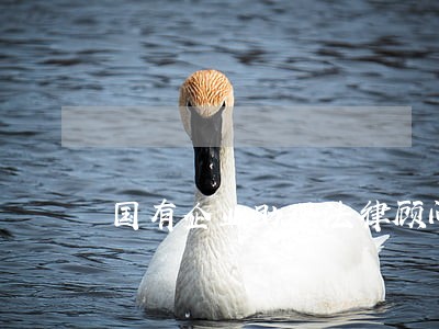 国有企业助理法律顾问 国有企业助理法律顾问