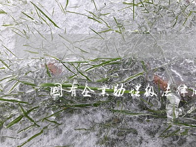 国有企业助理级法律顾问 国有企业助理级法律顾问