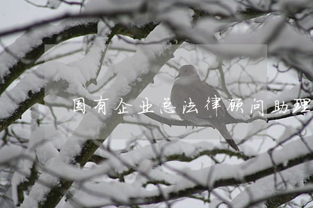 国有企业总法律顾问助理 国有企业总法律顾问助理