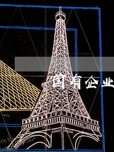 国有企业法律顾问 国有企业法律顾问