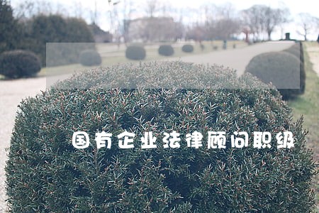 国有企业法律顾问职级 国有企业法律顾问职级