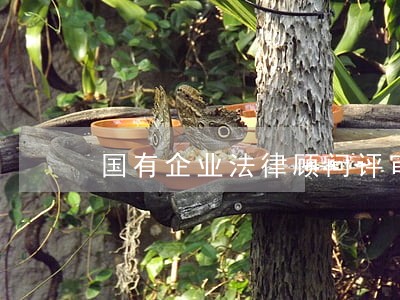 国有企业法律顾问评审 国有企业法律顾问评审