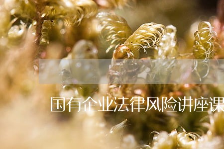 国有企业法律风险讲座课件定稿 国有企业法律风险讲座课件定稿