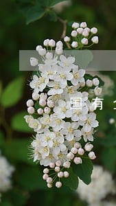 国有企业清算法律意见书 国有企业清算法律意见书