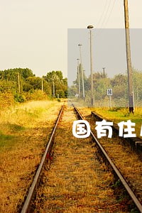 国有住房租赁合同纠纷 国有住房租赁合同纠纷