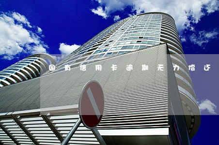 国有信用卡逾期无力偿还