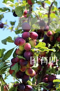 国有四大行信用卡逾期会给减免么 国有四大行信用卡逾期会给减免么