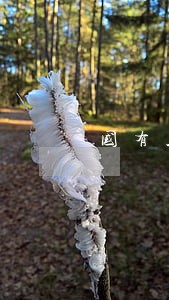 国有土地上房屋征收和补偿条例 国有土地上房屋征收和补偿条例