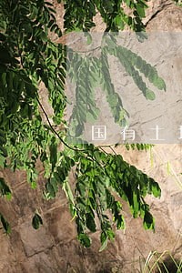 国有土地使用权出让和转让条例 国有土地使用权出让和转让条例