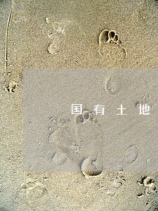 国有土地转让法规 国有土地转让法规