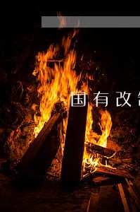 国有改制法律意见书
