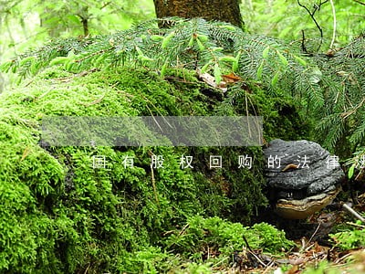 国有股权回购的法律法规 国有股权回购的法律法规