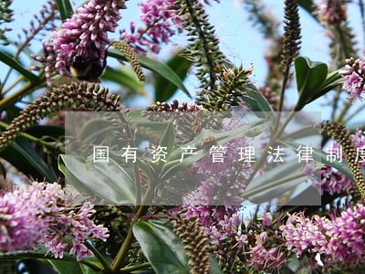 国有资产管理法律制度答案解析 国有资产管理法律制度答案解析