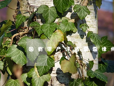 国有资产评估需要律师介入 国有资产评估需要律师介入