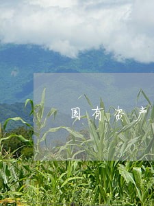 国有资产转让法律意见书有效期