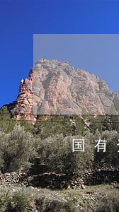 国有资产转让法律意见书范本 国有资产转让法律意见书范本