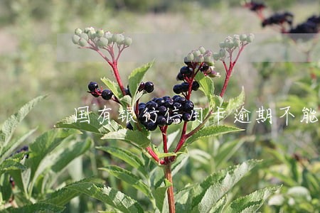 国有银行信用卡逾期不能减免么 国有银行信用卡逾期不能减免么