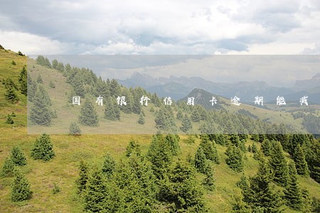 国有银行信用卡逾期能减免利息吗 国有银行信用卡逾期能减免利息吗