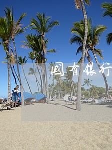 国有银行借款逾期的情况 国有银行借款逾期的情况