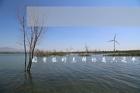 国有银行怎样协商只还本金 国有银行怎样协商只还本金