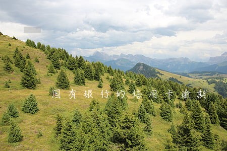 国有银行的信用卡逾期 国有银行的信用卡逾期