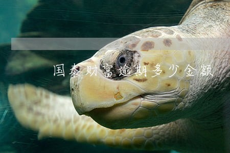 国泰财富逾期多少金额 国泰财富逾期多少金额