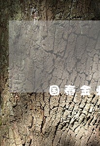 国泰金业代理违法吗 国泰金业代理违法吗