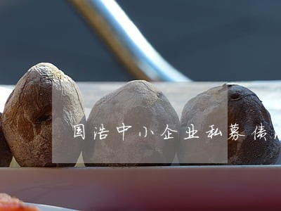 国浩中小企业私募债法律意见书 国浩中小企业私募债法律意见书