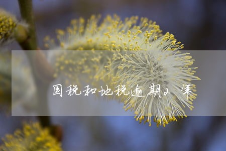 国税和地税逾期2年 国税和地税逾期2年
